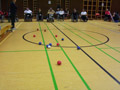 Zwei Punkte fürs Team
						 "Boccia Wien".